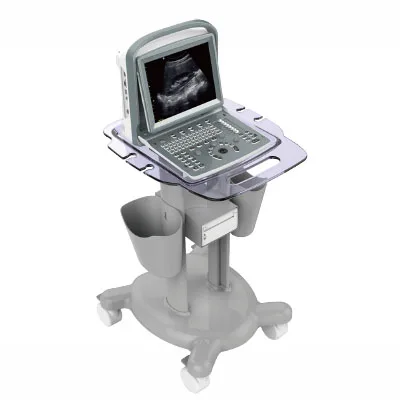 Medical Ultrasound Instruments portable doppler ultrasound Machine ECO1 Chison ultrasound Scanner price for human use