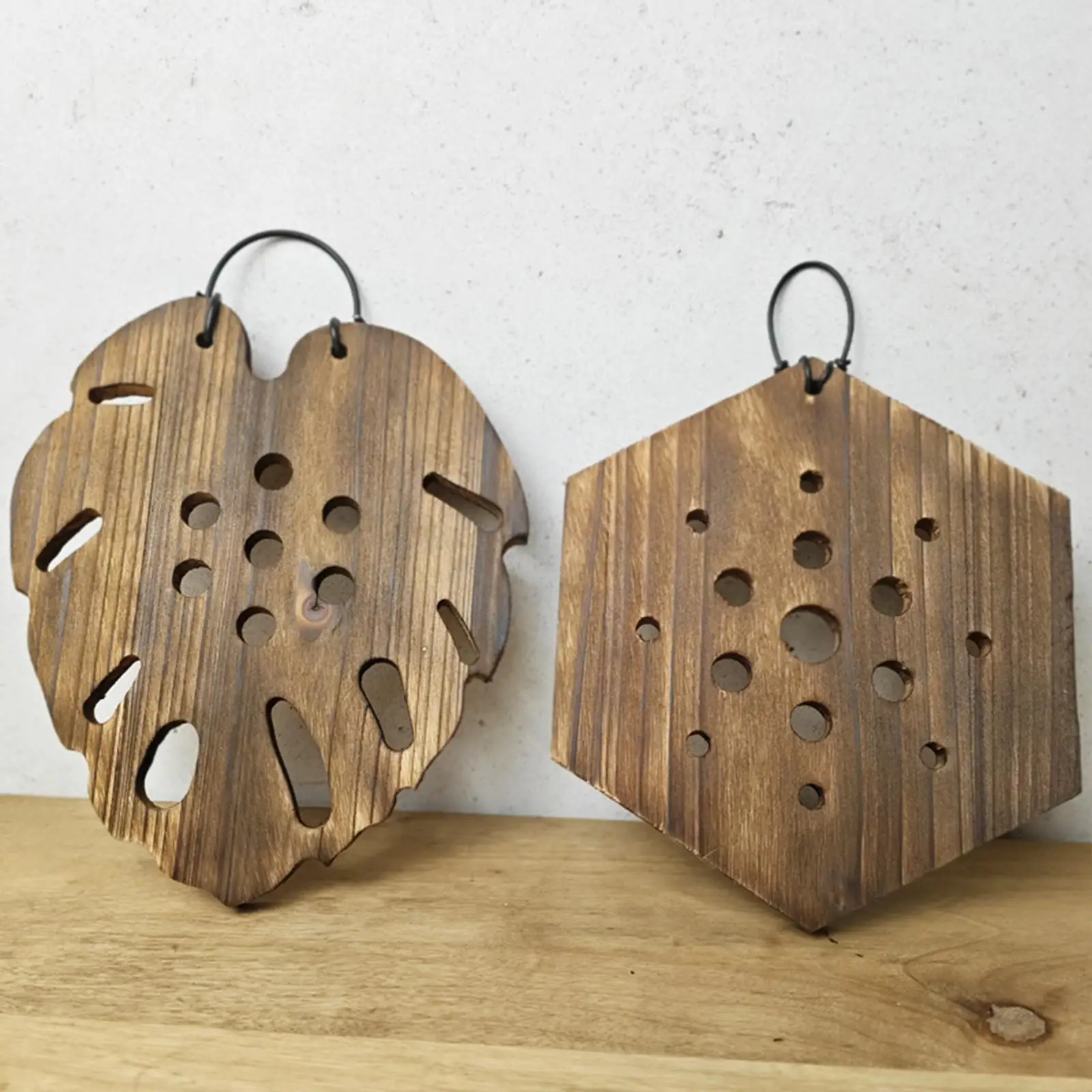 Soporte de Pared de Madera para Plantas Verticales Fern Platycerium, para Plantas de Interior, Sala de Estar
