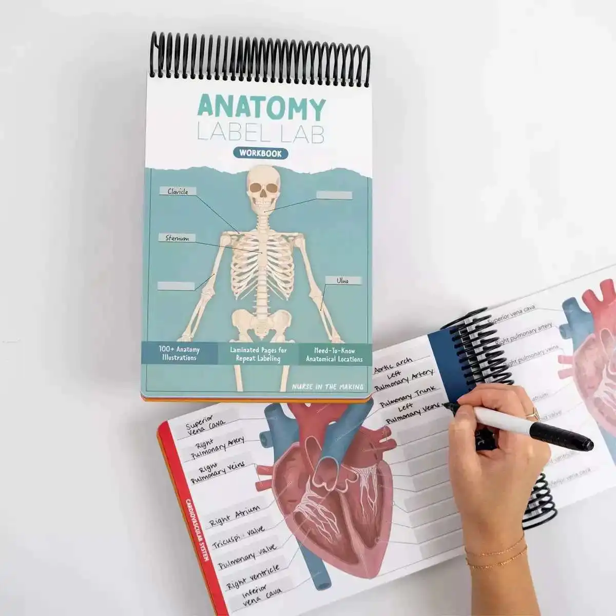 

100+ Full Color Anatomys Label-Lab Workbooks Anatomys Books The Ultimates Anatomys Study Guide Books for Nurses Nursing School