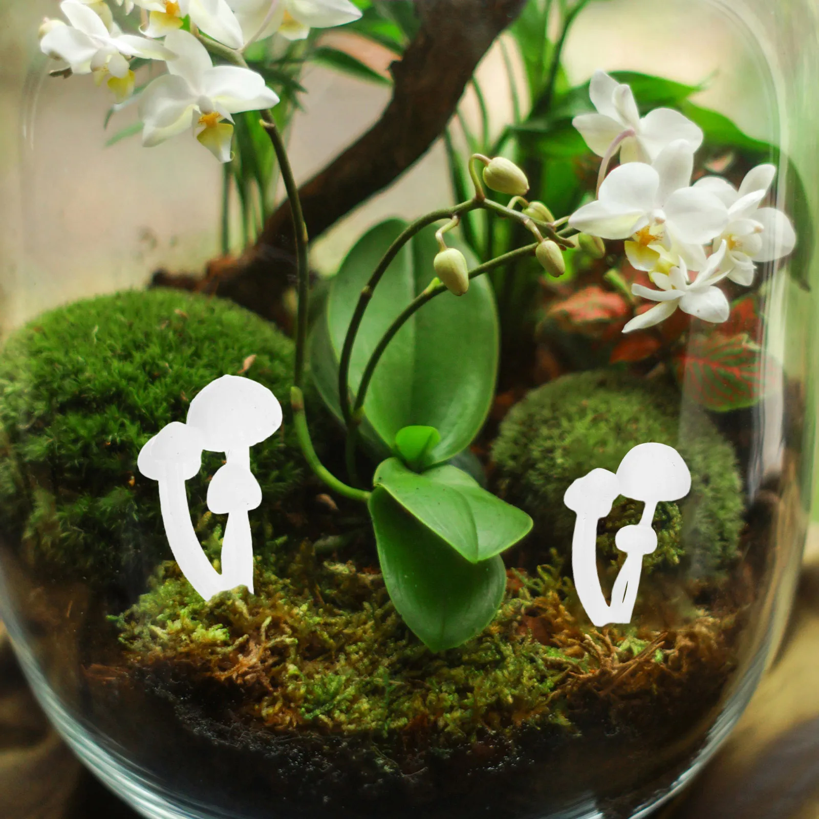 9 Pcs 3D Mini Mushroom Model Landscape nament Miniature Mushroom Plastic Decoration Artificial Flowers Festive