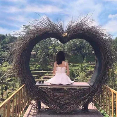 Outdoor Furniture Sun Lounger Hotel Beach Design Rattan Wicker Daybed Garden Bird Nest Chair