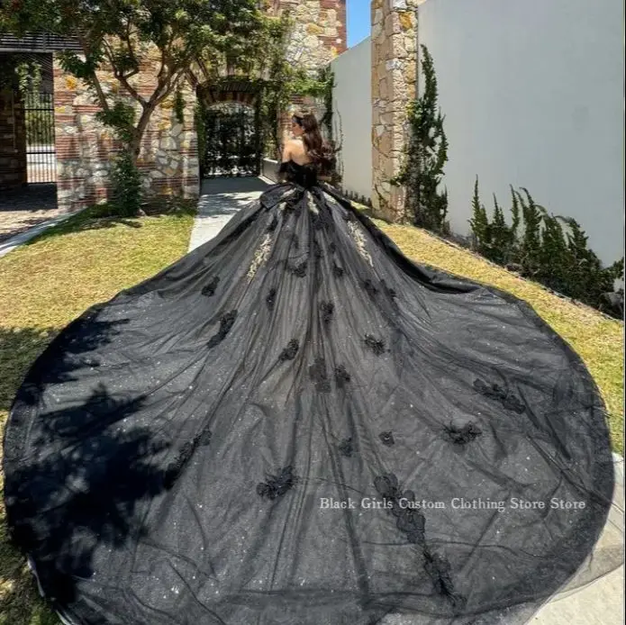 Linda princesa vestidos de baile com um ombro, vestidos Quinceanera preto, pluma frisada Applique, trem da catedral, México