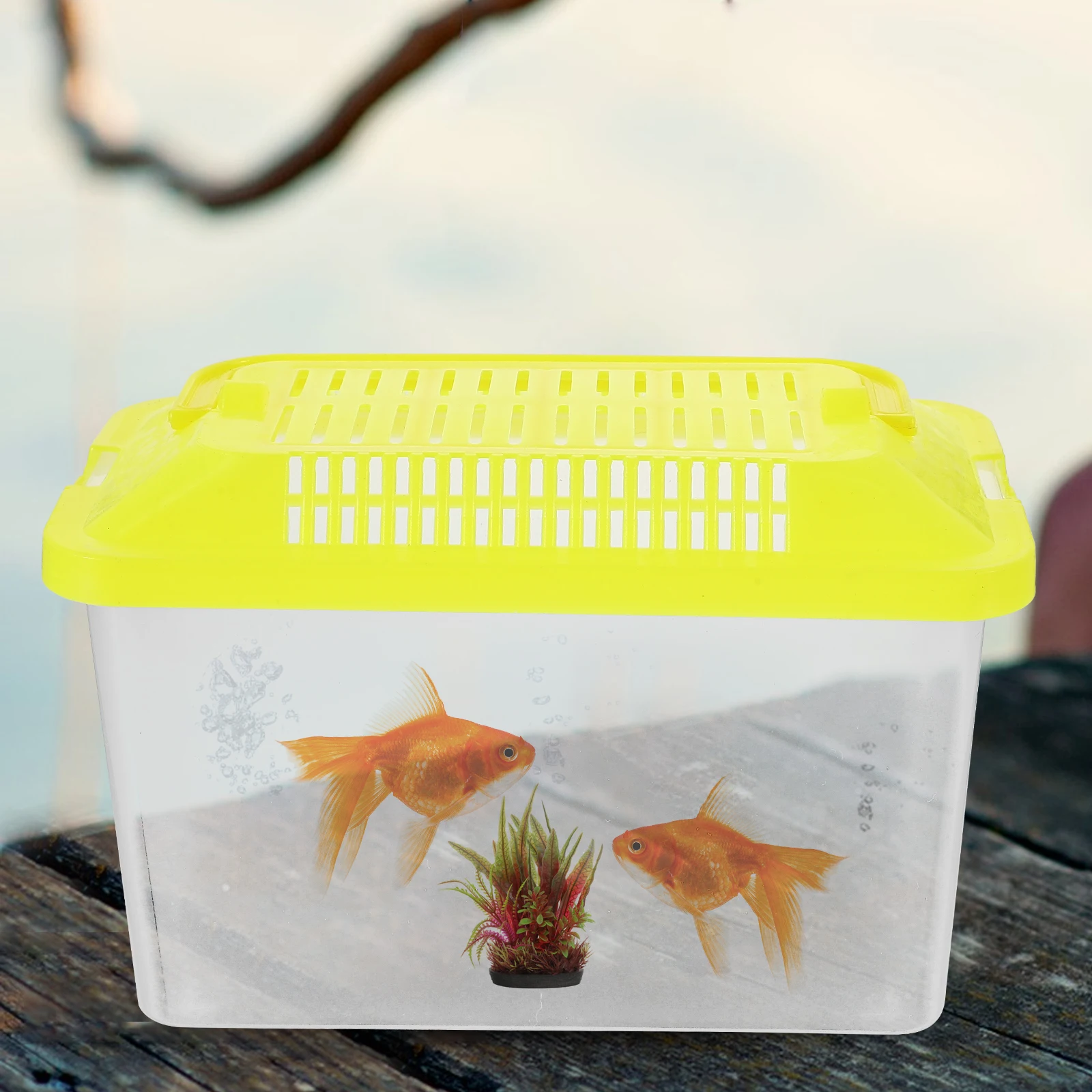 Transparent Turtle Box Plastic Handheld Fish Tank Creative Design Environment for Reptile Pet Carrier Breeding
