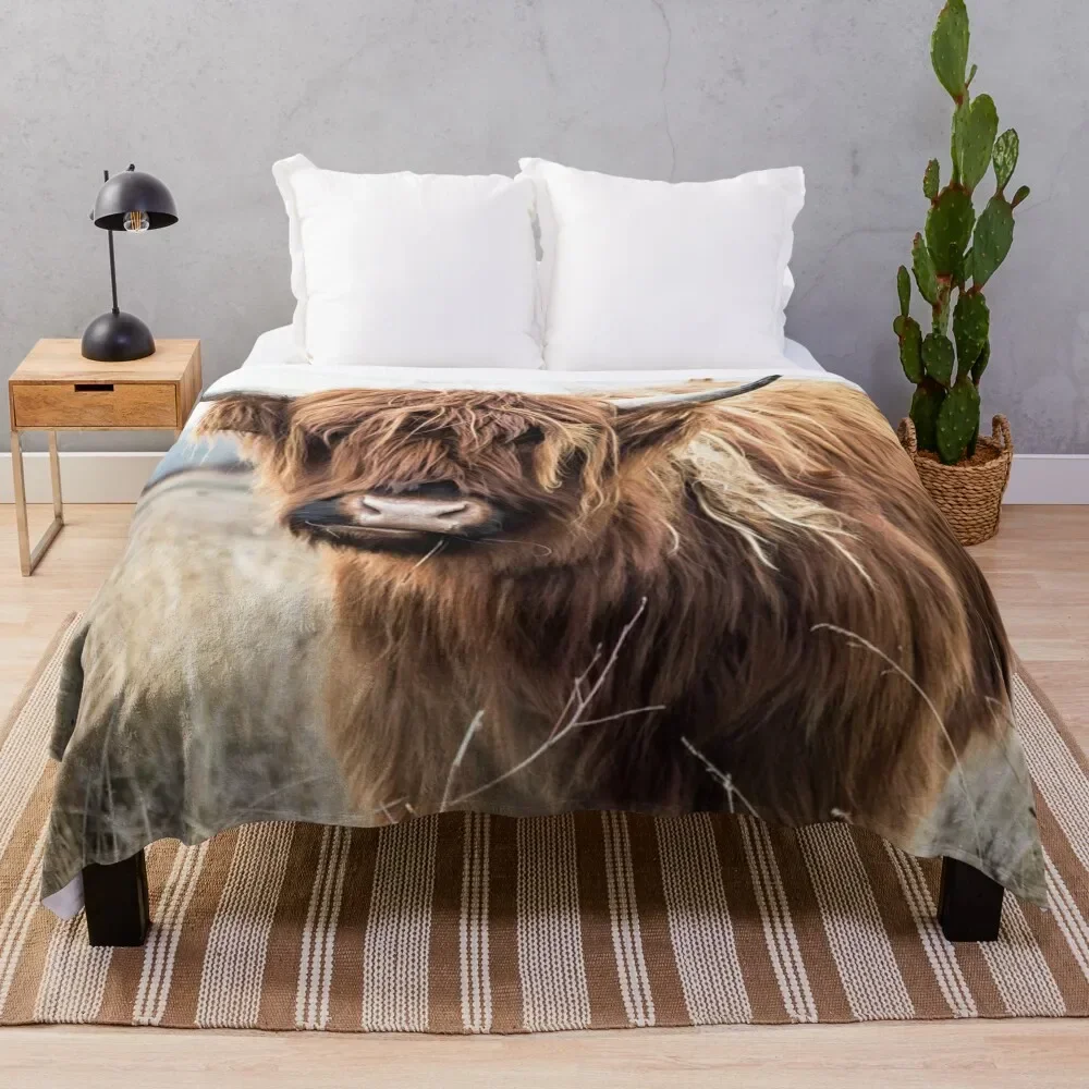 Highland Cow Portrait Throw Blanket anime funny gift blankets ands Kid'S Blankets