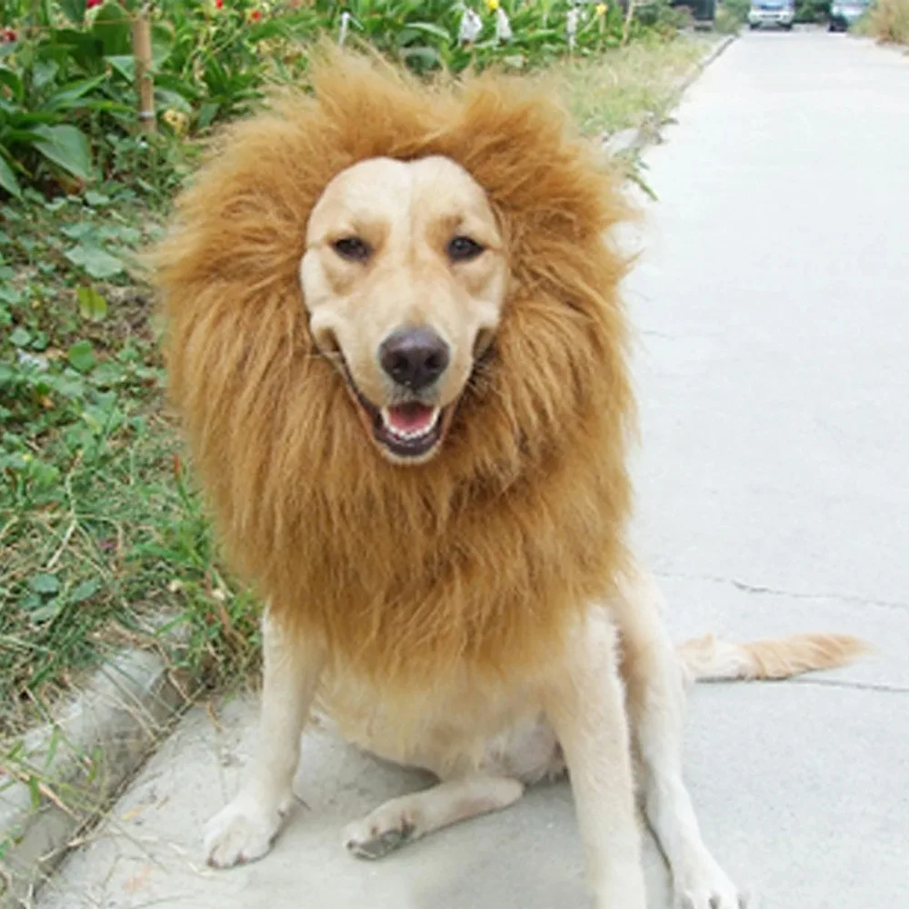 Pet Dog Lion Mane Wig Hair Decor Dog Wig Hair Costume For Large Medium Small Dog Halloween Gift Cosplay Funny Hat Pet Apparel