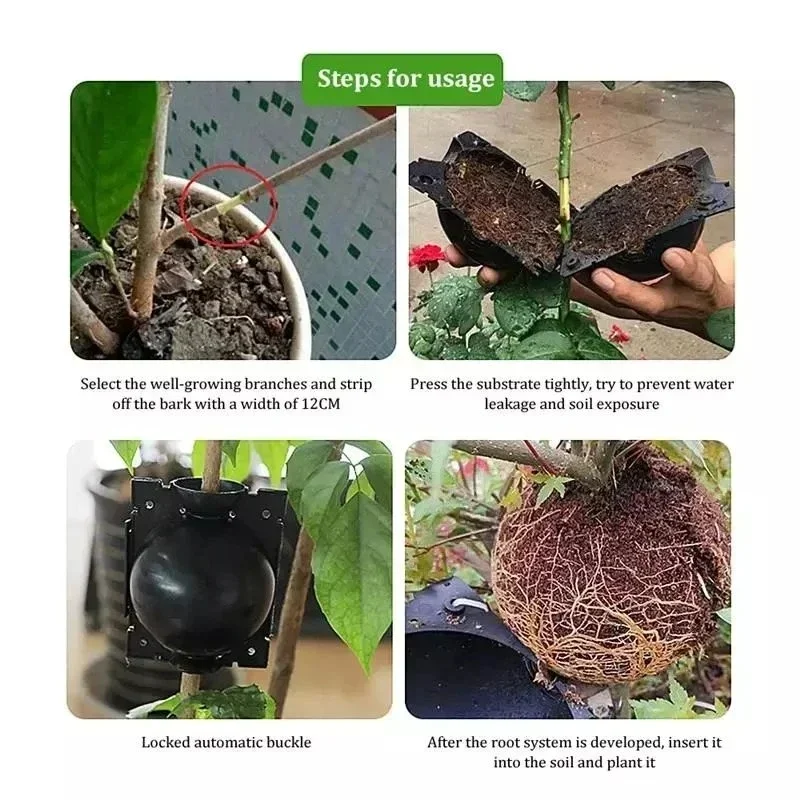 Thumbnail 3 - #64 Compare Plant Pots Before You Buy