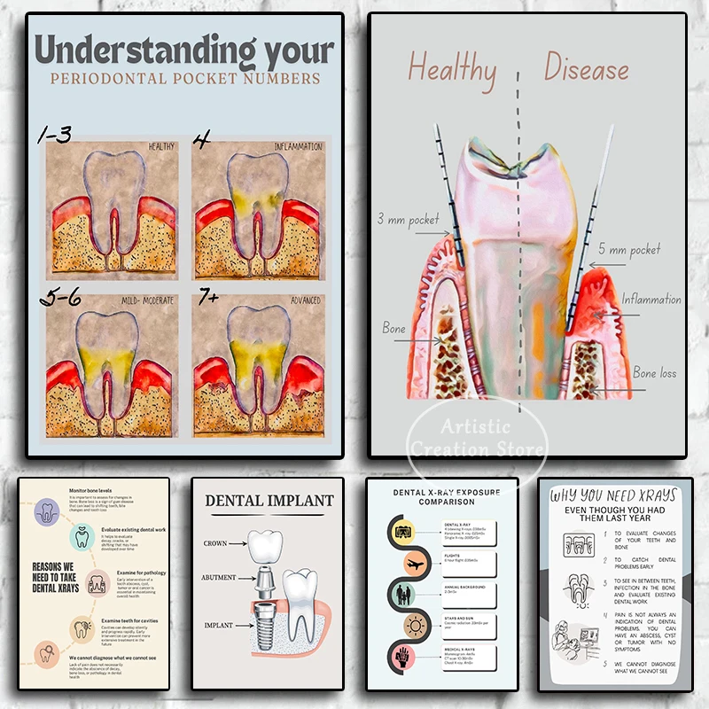 Dentist Tooth Anato… - image