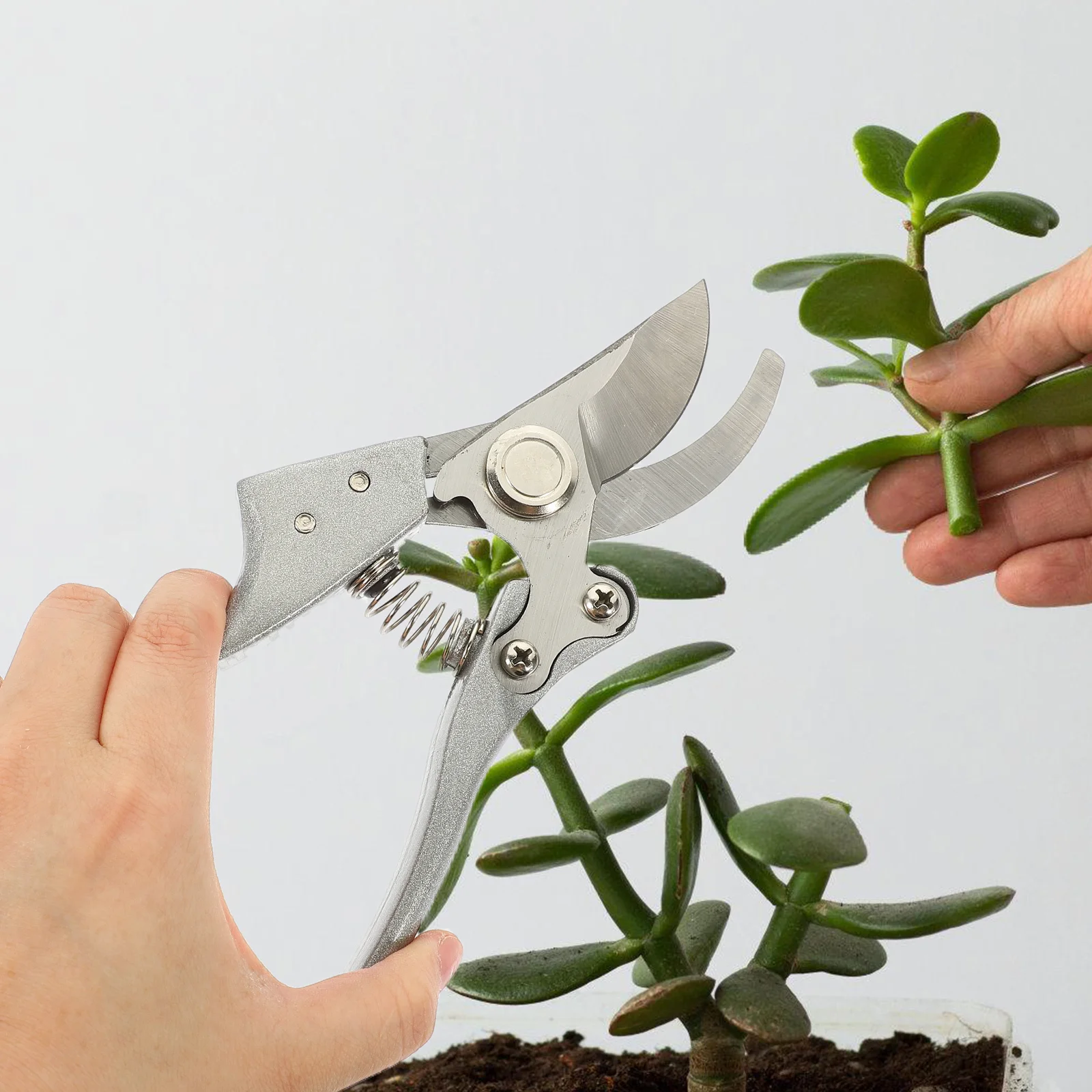

Garden Shears Pruning Shears For Tree Flower Branch Trimming Stainless Steel Handheld Plant Trimmer Spring Loaded Comfort