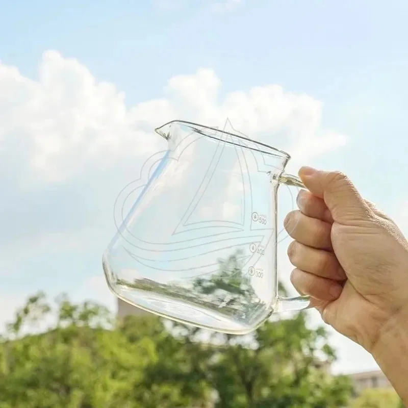 360/600ml Glass Coffee Sharing Pot, Clear Coffee Server, Hand Brew Coffee Tea Pot for Home & Cafe