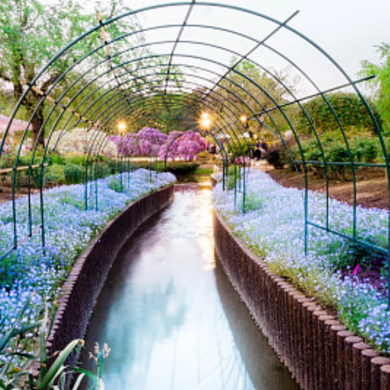 

Aluminum Sealed Differential Case Steel Cog Differential Gear for 1/10 Trxs Rustler Slash Stampede 2wd Te38ch Jam Hot Racing