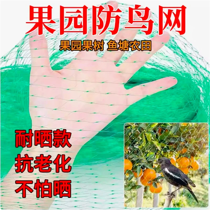 Садовая сетка для защиты от птиц, зеленая ромбическая пластиковая сетка для порода, защищающая растения, овощи, цветы, птицы и животные от восхождения лоз
