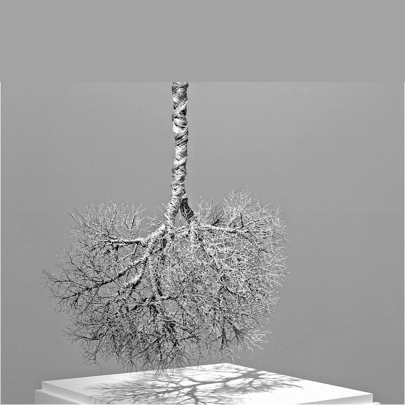 Inverted iron wire pine decoration hotel real estate ceiling interior decoration Meichen decoration