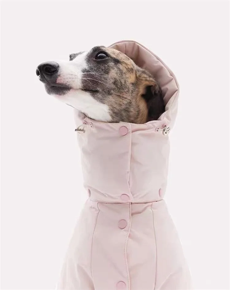 Pet Supplies Custom New Designer Winter Down Coat Italian Greyhound Whippet Clothing Dog Jumper Comfortable Clothes For Dog