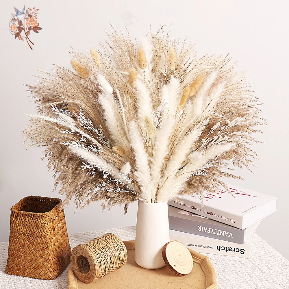 ดอกไม้แห้ง 65 ชิ้น ช่อหญ้าแพมพ - Dried Pampas Bundle บทวิจารณ์และราคา