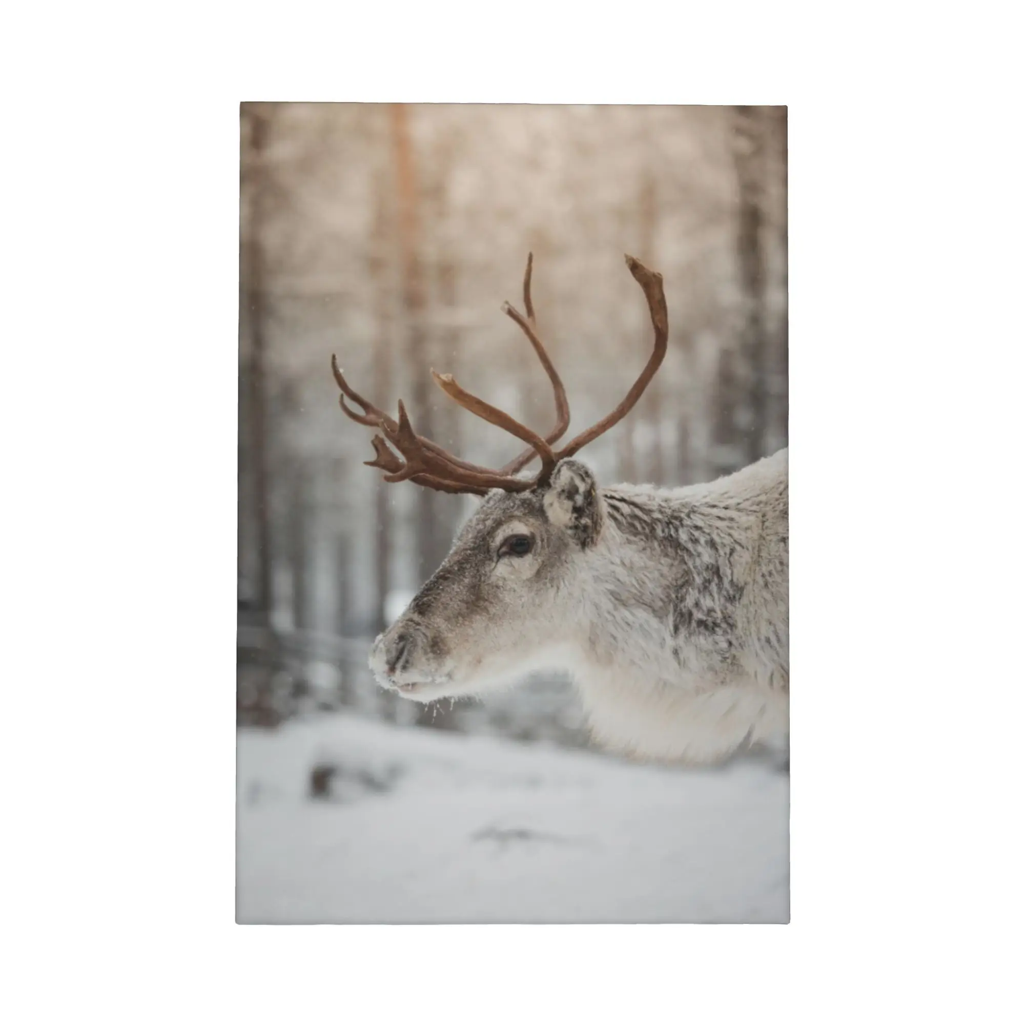 Arte de pared con marco en lienzo de bosque de ciervo en otoño, impresión de paisaje de vida silvestre en Color, póster rústico de bosque, decoración de pared de salón
