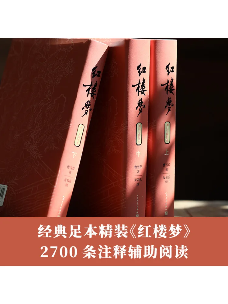 كتاب وينشير دريم أوف ريد مانشنز ليو دينشي الطبعة المصورة 3 مجلدات في المجموع