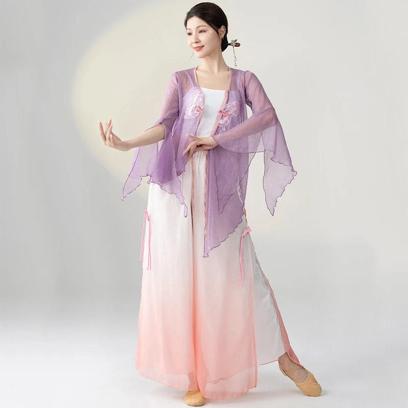 

Chinese Folk Dance Stage Performance Costumes Classical Dance Practice Clothing Oriental Dance Gauze Training Clothing DQL7621