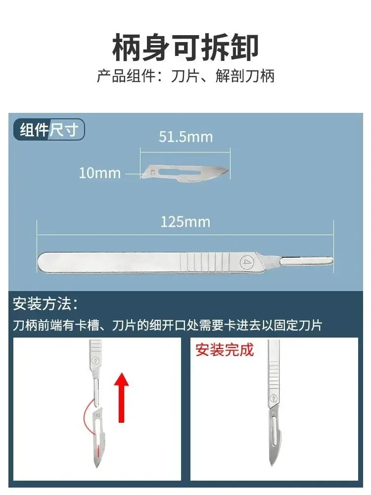 Stainless Steel Insect Dissection Scissors, Medical Biology Laboratory Equipment Tools, Dissection Needles view 3