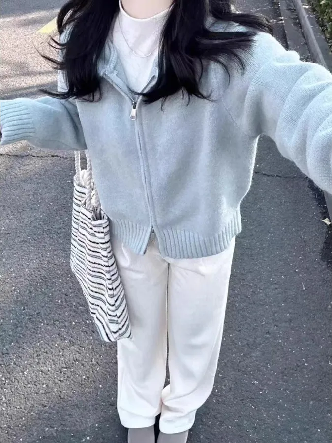 Niebieski sweter z kapturem na zamek błyskawiczny, damski, luźny krój, miękki poliester, długi rękaw, ciepła odzież wierzchnia, swobodny styl, jesień-zima.