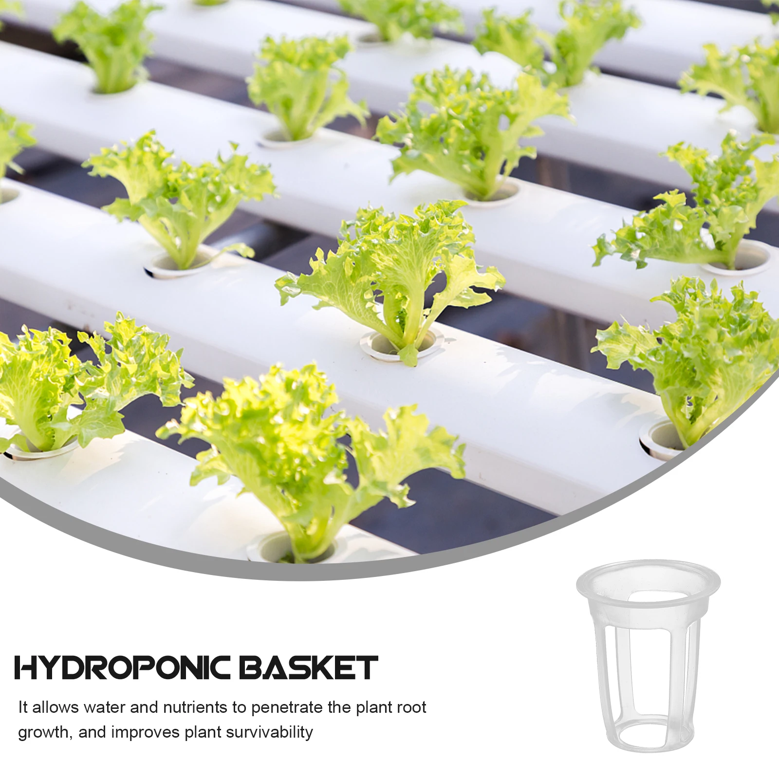 

100Pcs Slotted Net Pots Hydroponic Baskets Plastic Planting Containers For Indoor Cultivation