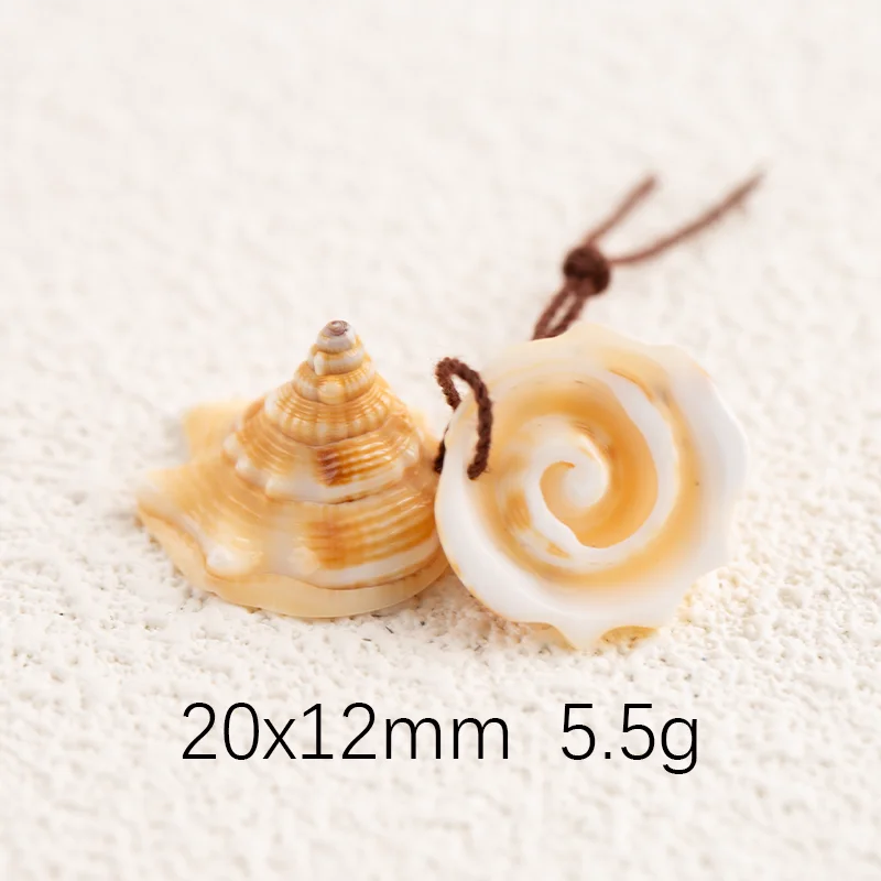 Light Yellow Natural Shell For Fashion Jewelry Conch  Earring Beads Sets Making Charm Gift Accessories 20x12mm 5.5g