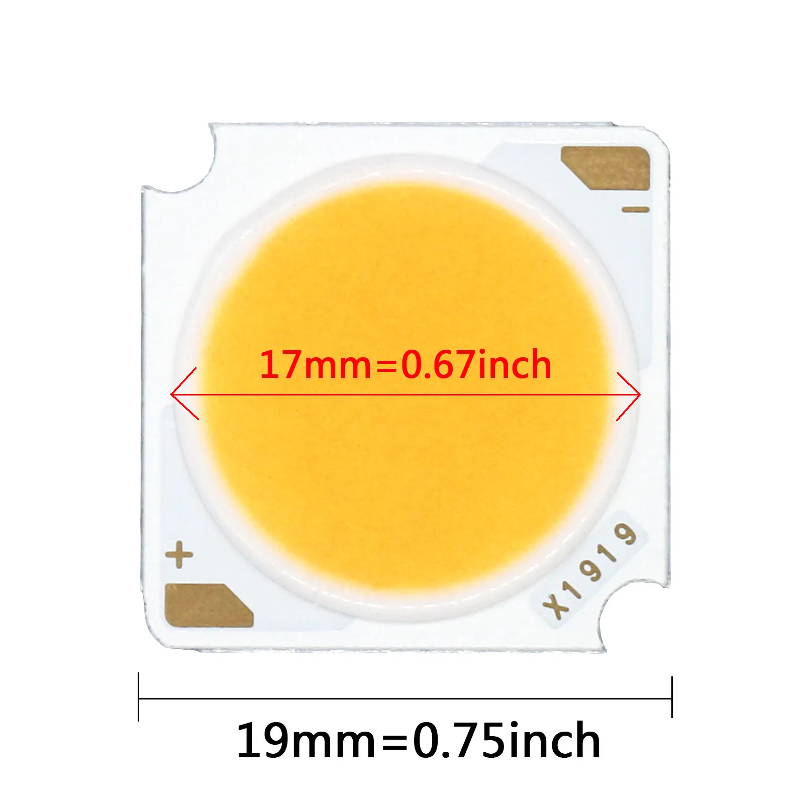 15pcs LED COB LED Light-Emitting Diode LED Source Bridgelux Chip 10W 20W 30W 40W 50W 19*19mm CRI≥90 For Spotlight Downlight DIY