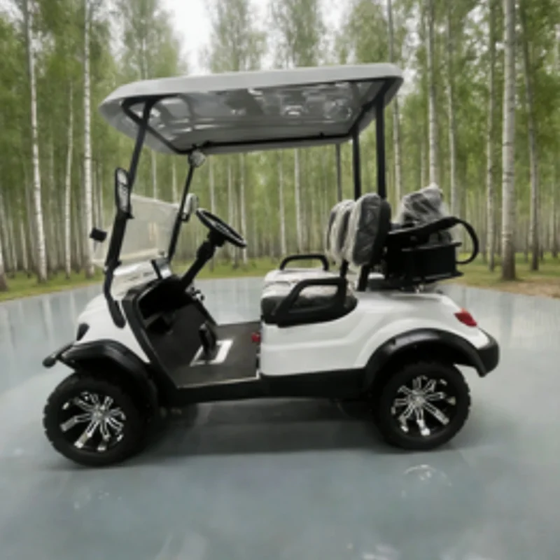 Voiturette de golf électrique à batterie lithium certifiée CE, véhicule utilitaire, pneus tout-terrain de 12 pouces, pare-brise pliable, haut-parleurs Bluetooth