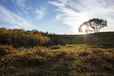 

Датчик оптического потока Holybro PMW3901, совместимый с Pixhawk 6C PX4 Guide / Ardupilot для RC FPV дронов