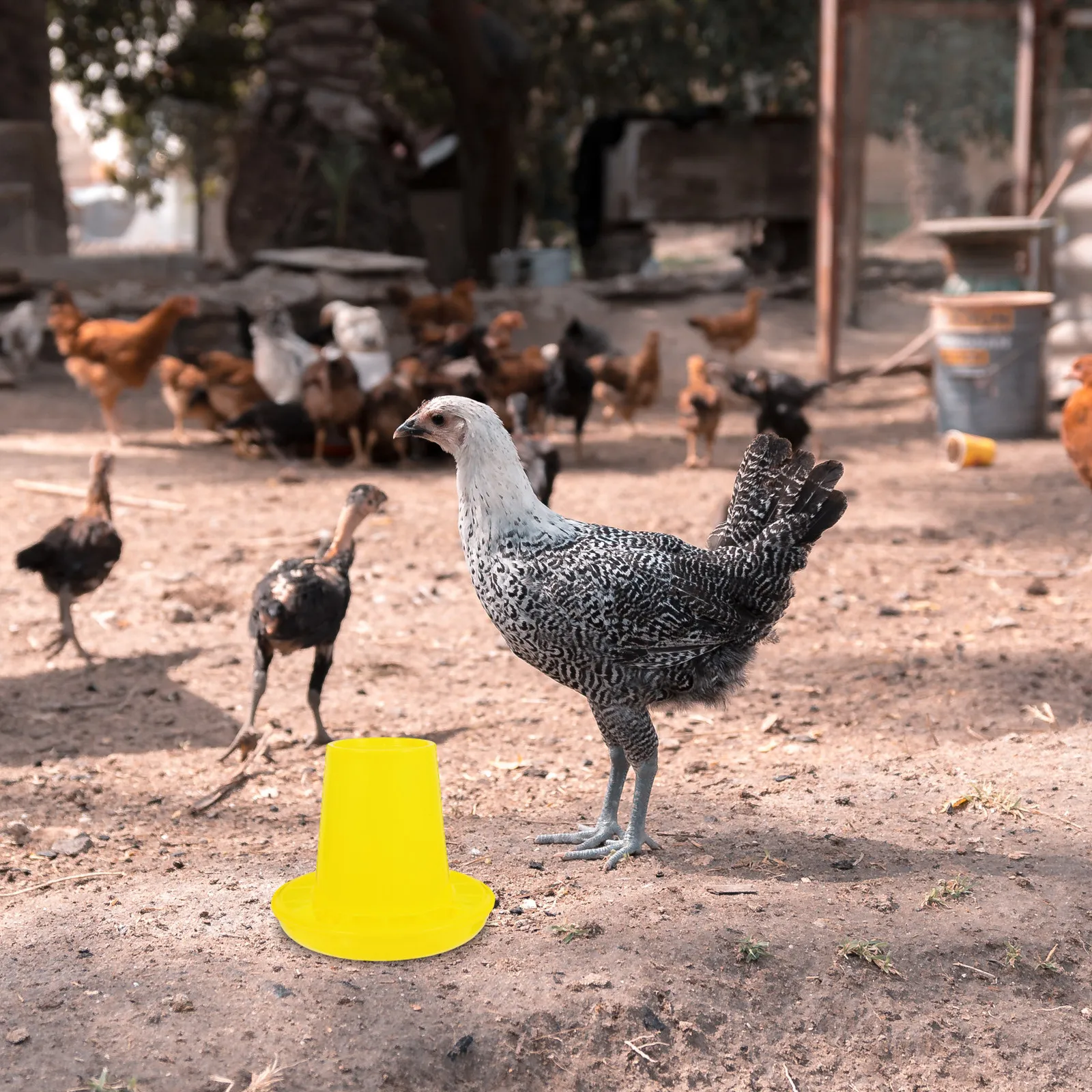 1Set Automatic Chicken Feeder and Water Holder Simple Structure Long-Lasting Sturdy Chicken Cage Feeder Feeding Trough Food