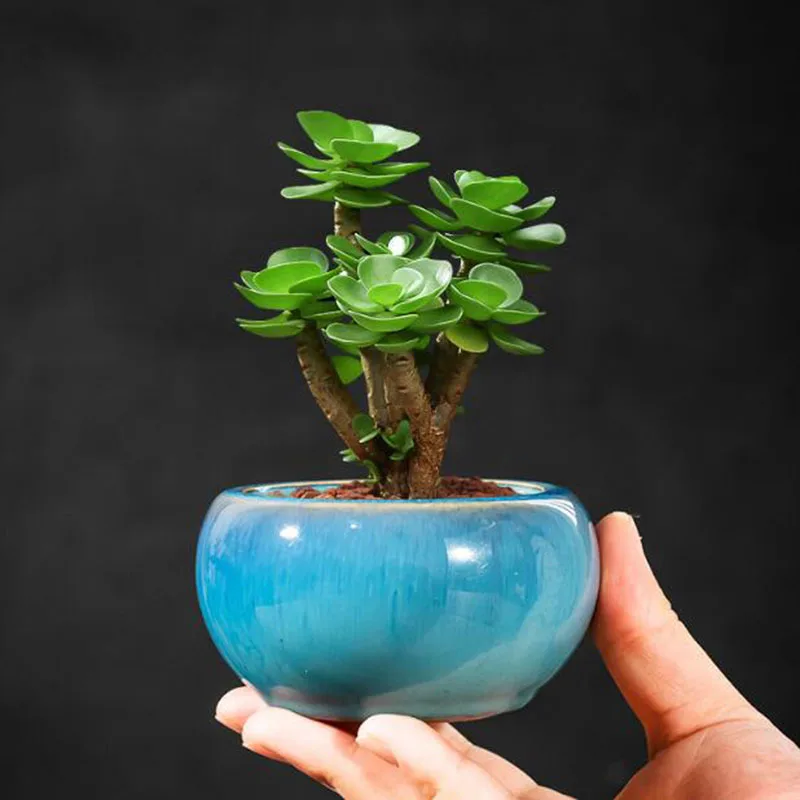 Modern Style Blue Glazed Porcelain Succulent Plant Pot Flowerpot With A Hole Ceramic Crafts Home Garden Decor