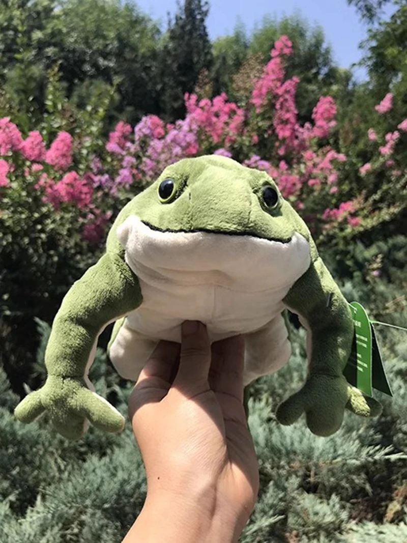 Bonito presente de aniversário menina sapo verde brinquedo de pelúcia grande macio dormir travesseiro sapo boneca decoração 22.8 polegada 58cm dy10295