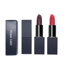 21 Color Private Label Lipstick Custom Bulk Non-stick Waterproof Pigment Magnetic Light Moisturizing Makeup All Lip Tints Beauty