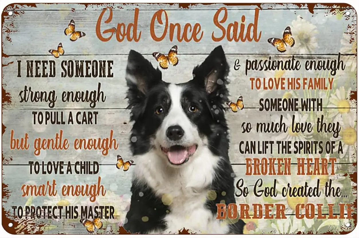 Funny Metal Signs Vintage Antique Metal Sign God Created The Best Dog Border Collie Tin Sign Vintage Decoration Garage