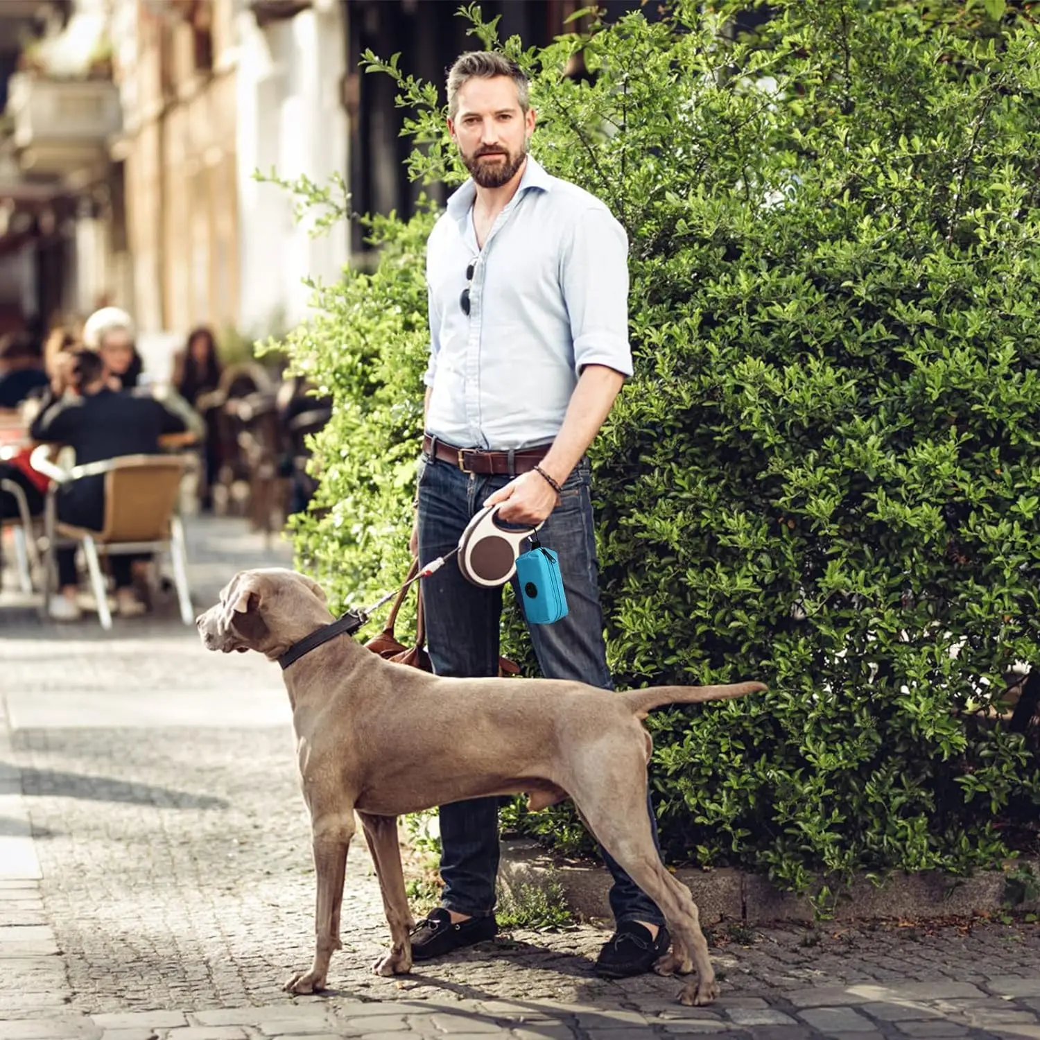 Bolsa dispensadora de caca para perros, bolsas desechables para residuos de mascotas, bolsa de basura para exteriores, dispensador de transporte,