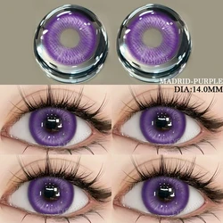 AMARA Colored Contact Lenses 2pcs Purple Contact Lenses Anime Cosplay Contact Eye Lenses Halloween Beauty Makeup Color Lens