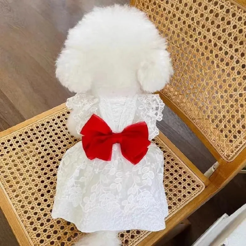 Pet Clothes Dog Summer Thin Skirt Butterfly Wedding Gauze Dress Lace Dress Small Puppy Teddy Bee Bear