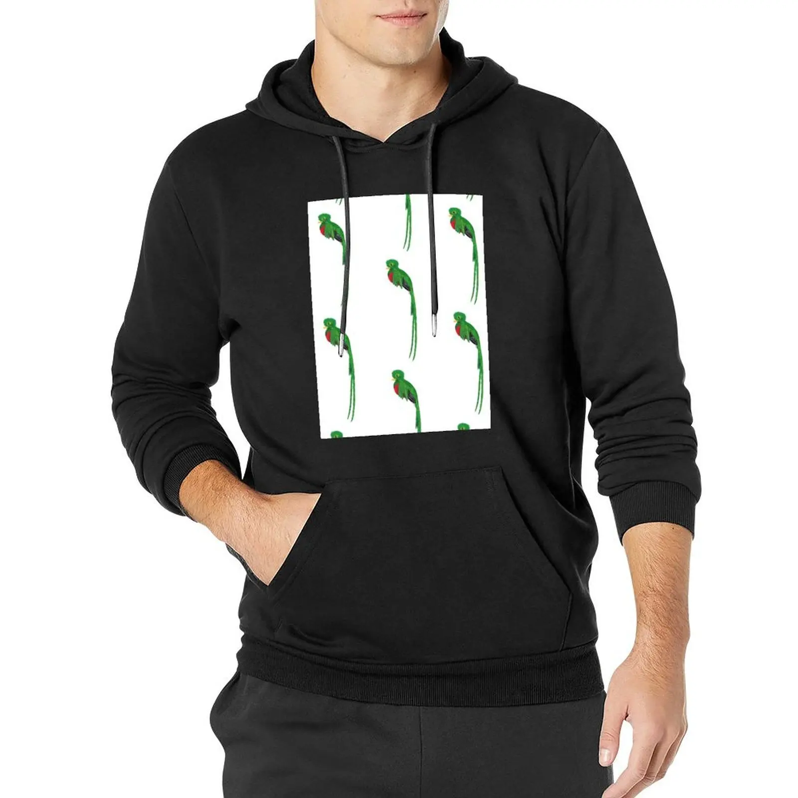 

Resplendent Quetzal Pullover Hoodie korean autumn clothes hoodie