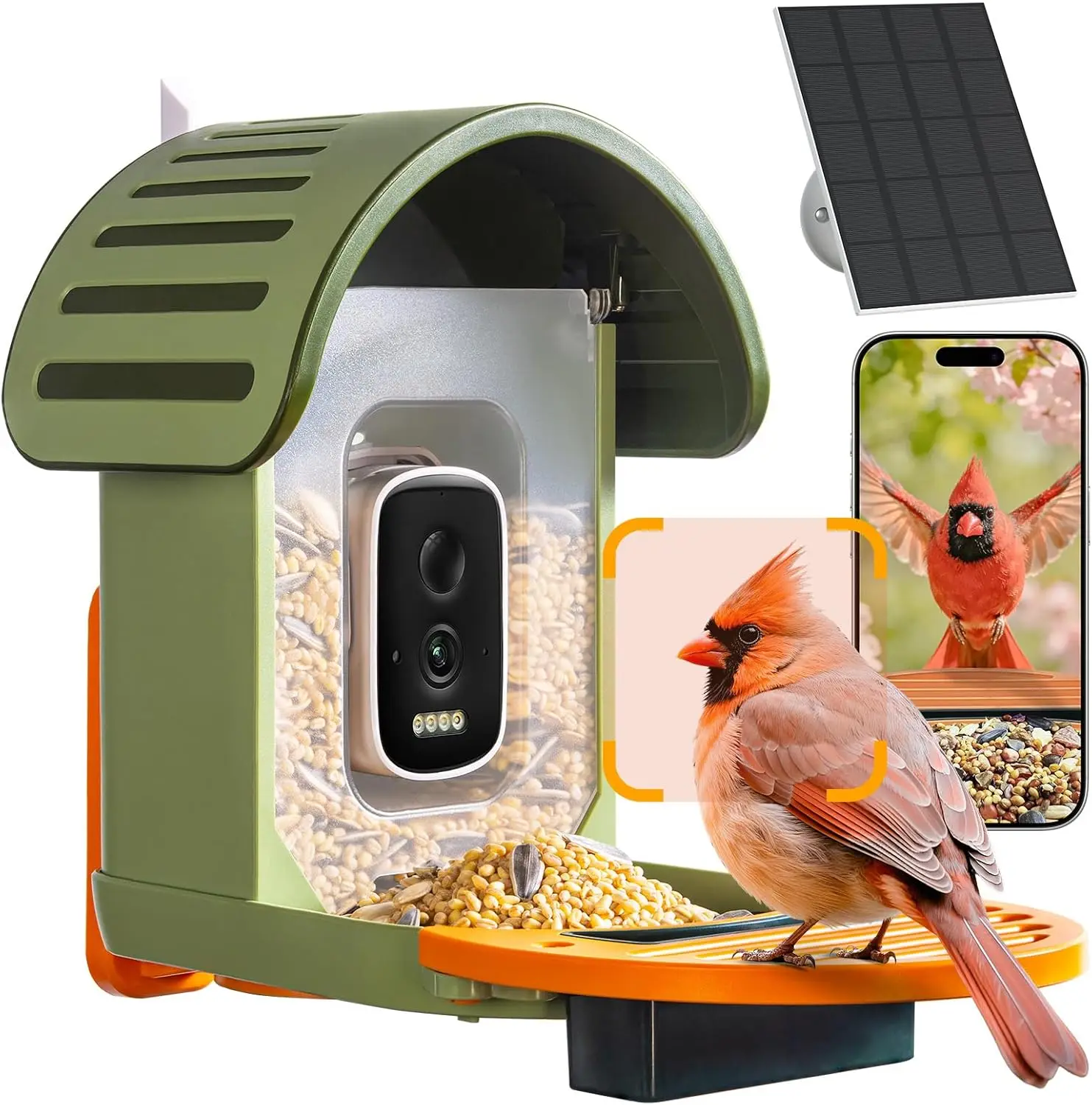 Smart Bird Feeder with Camera, 2.5K UHD, Solar Powered, AI Identification, Instant Alerts, IP66 Waterproof Outdoor Gift