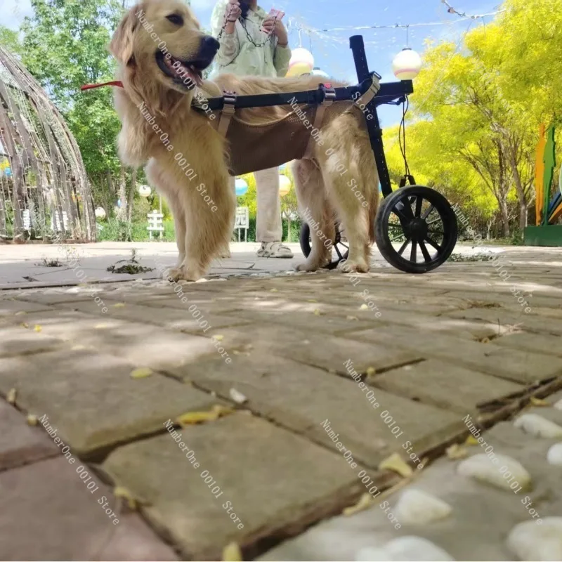 Rehabilitation Training Dog Wheelchair, Medium to Large Dogs, Hind Limb Assistance, Disability Mobility Aid, Pet Walker Trolley