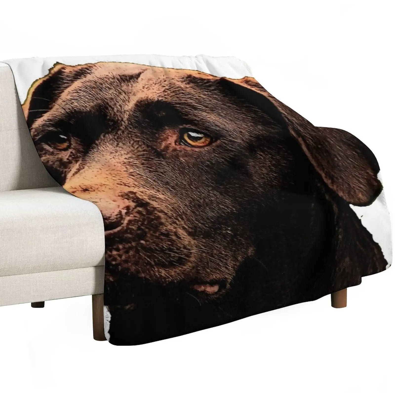 Chocolate Lab Throw Blanket Winter beds Tourist Blankets For Baby Flannels warm for winter Decorative Throw Blankets