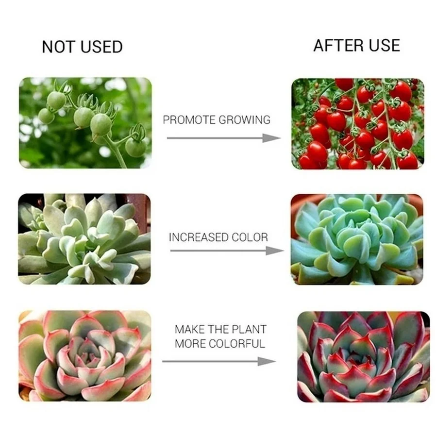 220V LED Grow Light Full Spectrum COB LED Chip AC 110V No need driver Phyto Lamp For Indoor Plant Light Seedling Grow Lamp