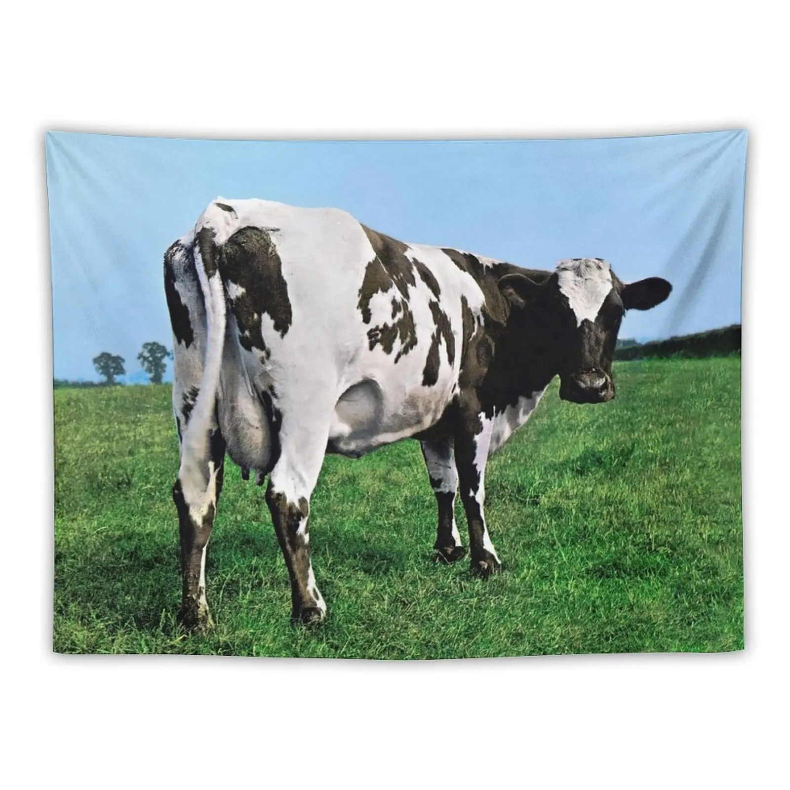 

Atom Heart Mother (HQ) Tapestry Room Decore Aesthetic Room Decor Tapestry