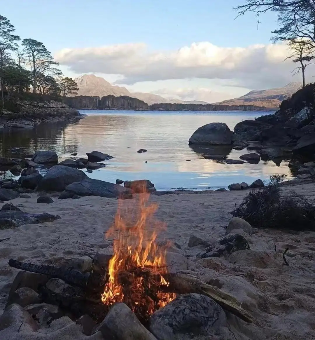 2025 TAIXL 6500W 15Tesla Fat Removal Contouring Muscle Electric Stimulation Ems Body Sculpt Slimming Muslim Sets Machine