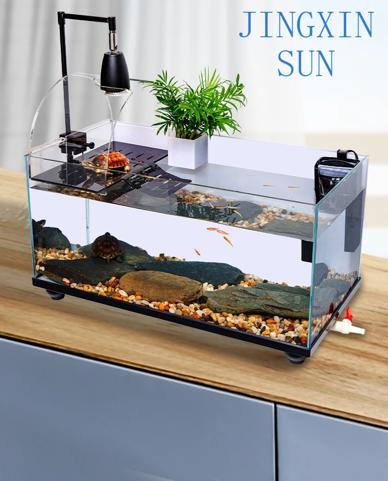Household Small Turtle Tank Sun Drying Back Curved Design With Water Land Separation