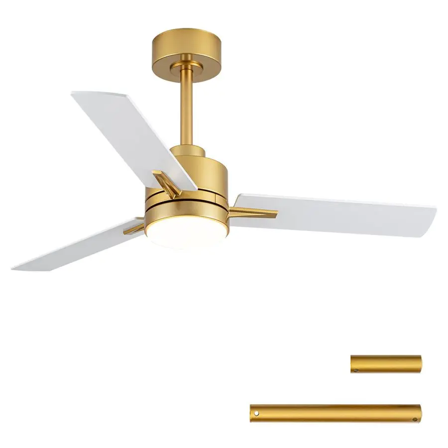 Ceiling Fan With Li…