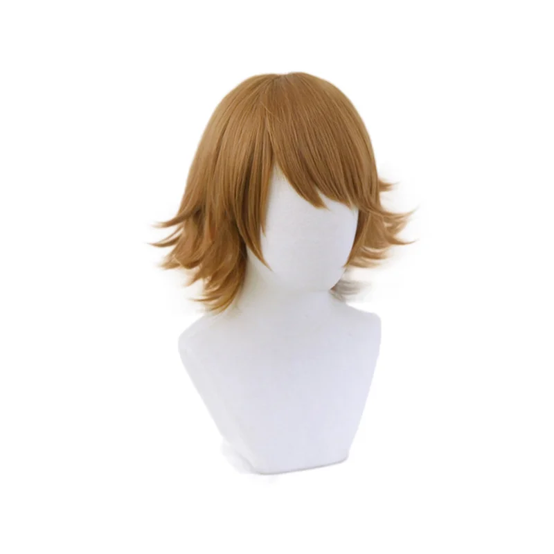 Danganronpa Chihiro Fujisaki Wig Cosplay Costume Dangan Ronpa Heat Resistant Synthetic Hair Men Women Short Wigs