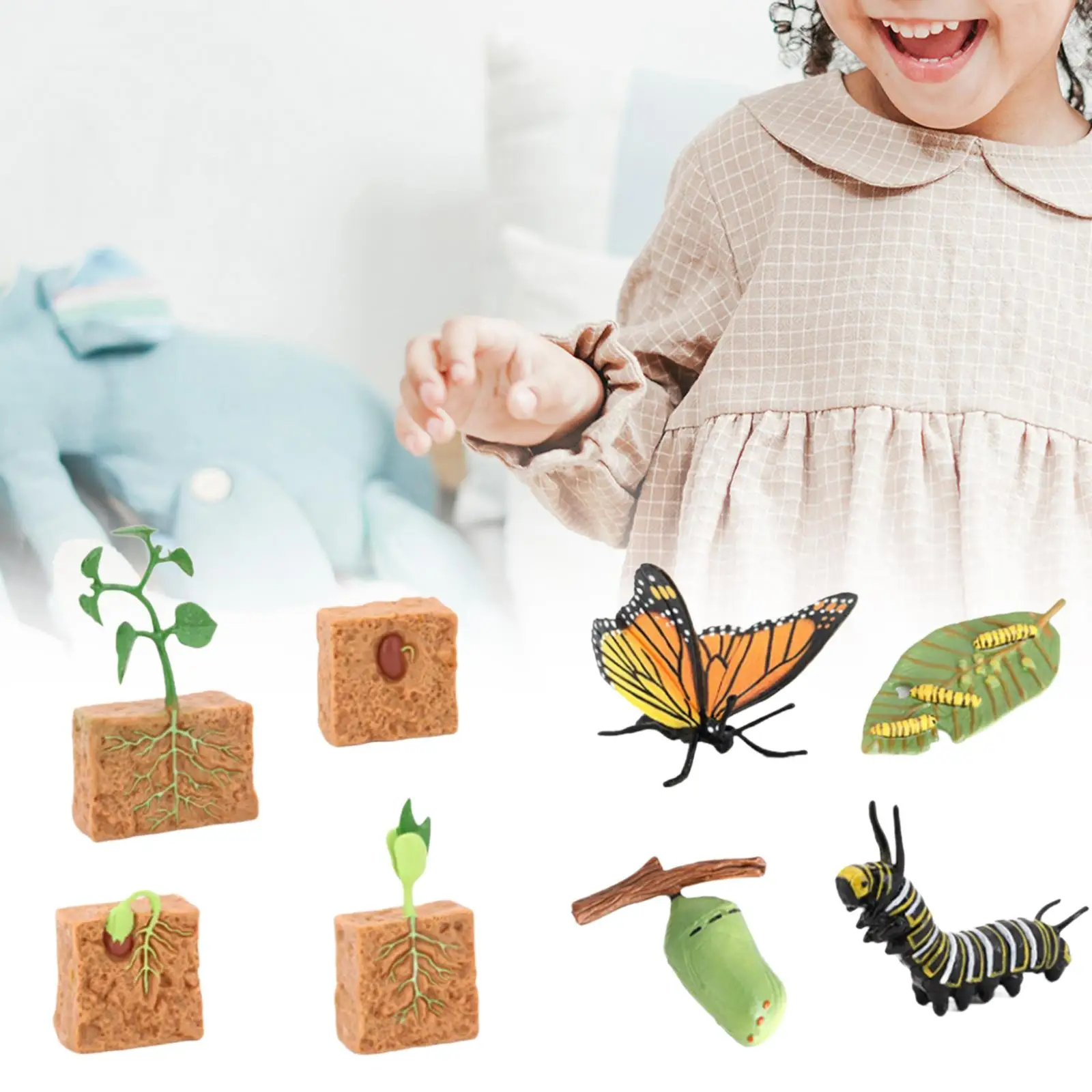 

Life Cycle Figurines Toy Butterfly and Plants for Boys Girls Toddlers Kids