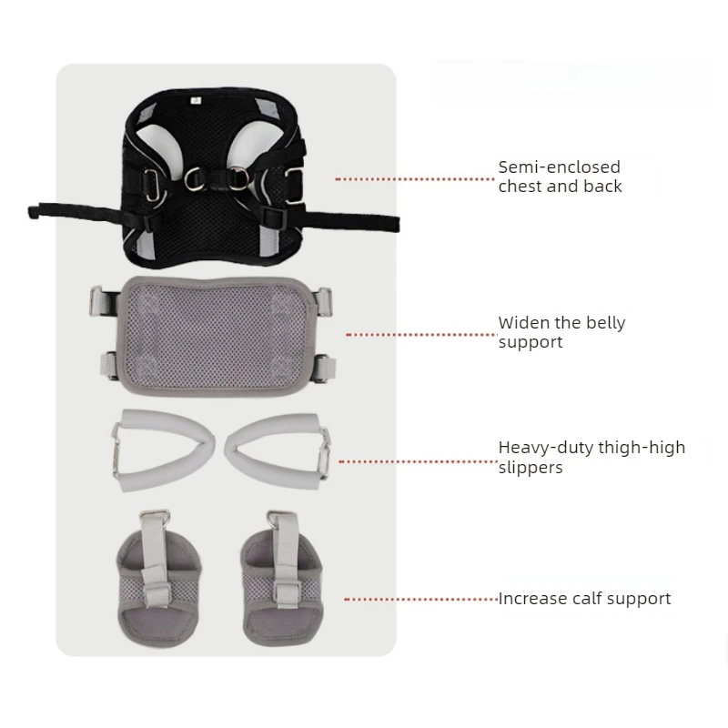 Silla de ruedas para perros pequeños y gatos – Soporte patas traseras - imagen 2