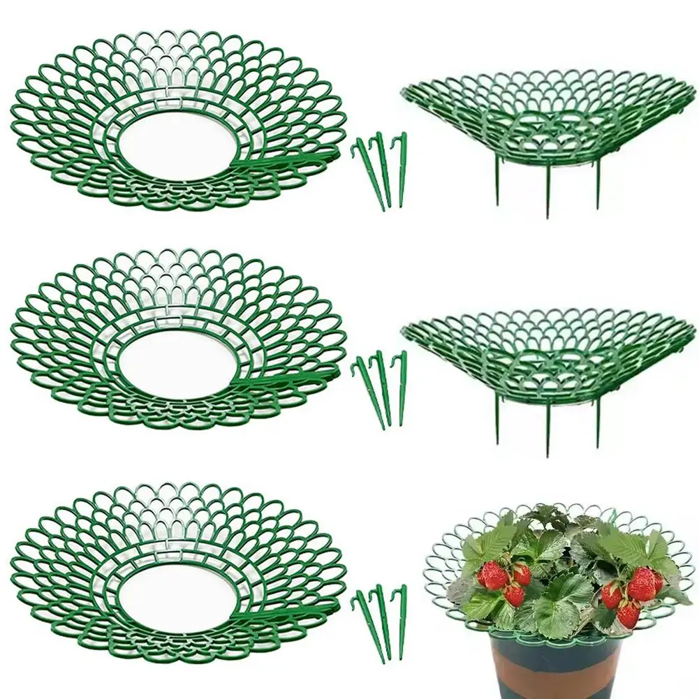 Strawberry Planting Racks, Watermelon Support Frames 3-Legged Plant Protector Easy Assembly plant accessories