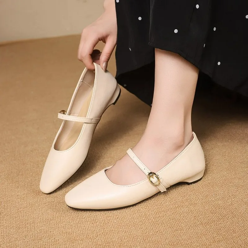 

Thick heeled pointed single shoe for women trend 2025 new soft sole comfortable fashion versatile French Mary Jane women's shoes